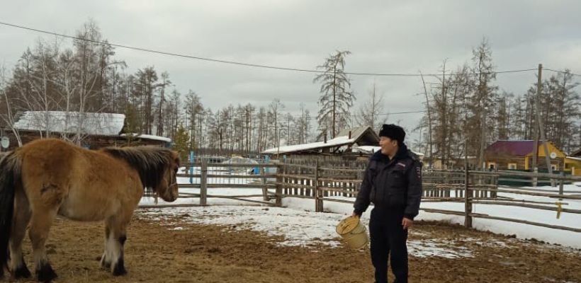 Про двух майоров, сенокос и о многом другом
