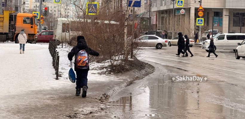 Видеофакт: Антон Васильев вывозит лужи на тележке в Якутске