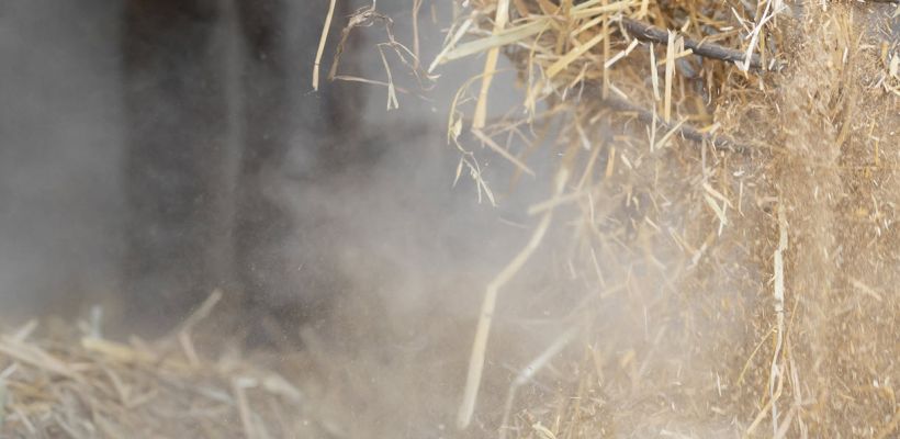 В Якутии фермер, обвиняемый в рабстве, обжалует меру пресечения