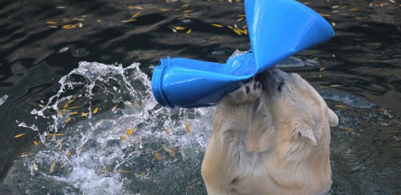 Почему у Хаарчааны зимой нет бассейна?