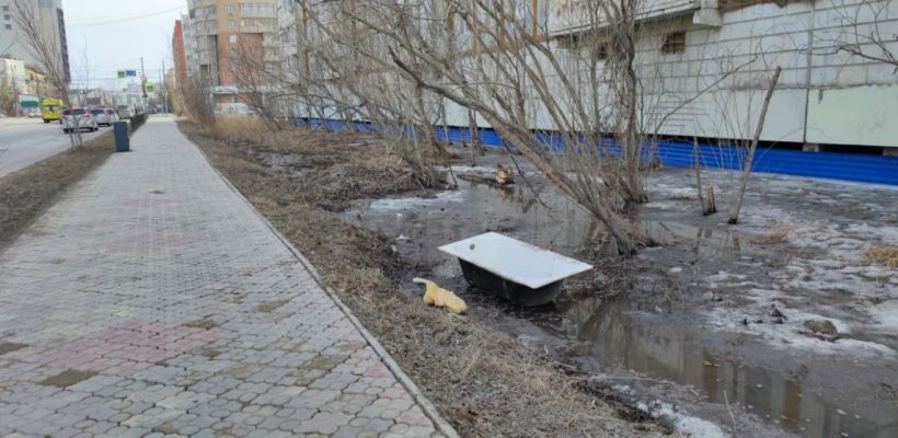 Что думает Айсен Николаев о чистоте Якутска? "Евгений Николаевич все проблемы хорошо понимает", - заверил глава