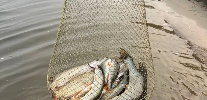 В России утвердили новые правила надзора в рыболовстве