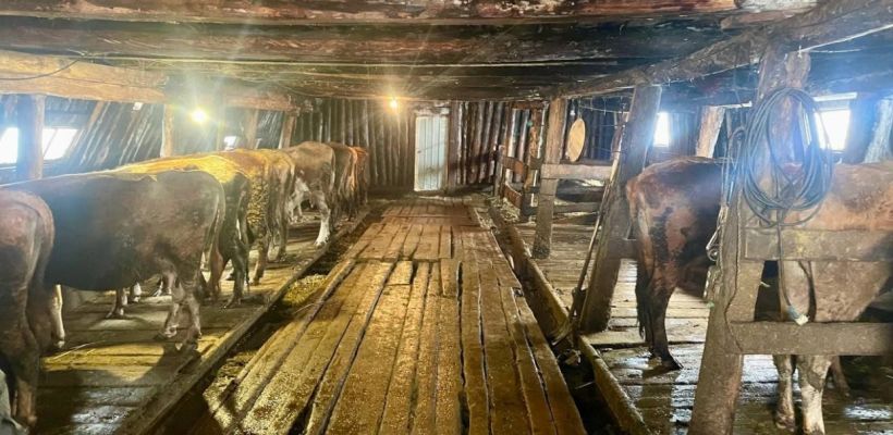 «Якутский фермер Кириллин наоборот помогал людям. Он взял работников из стационара "Тирэх"