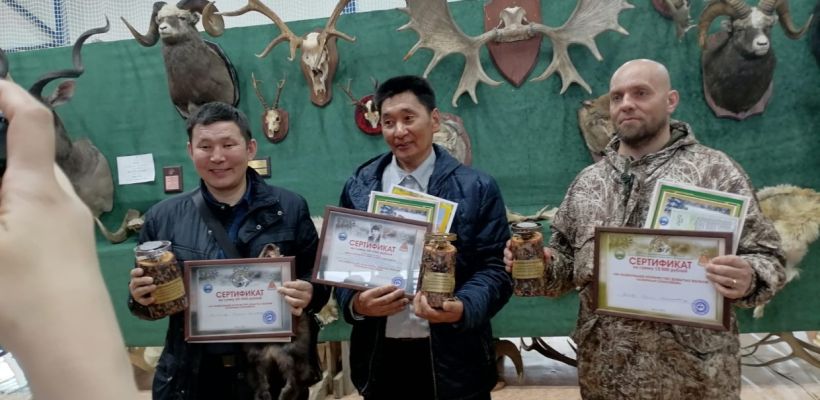 Волчатники Якутии выяснили, кто больше добыл волков и обсудили способы регулирования хищников