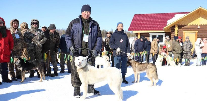 Якутяне хотят признать охотничью породу «саха ыта» в РКФ