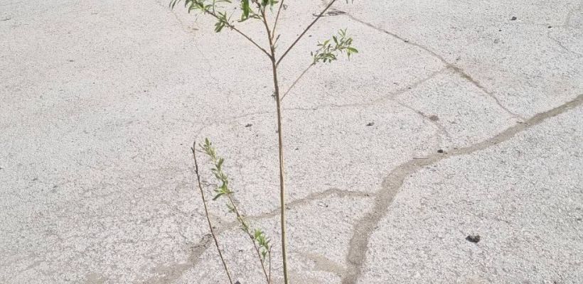 Якутян просят быть осторожнее: в республике ожидается непогода