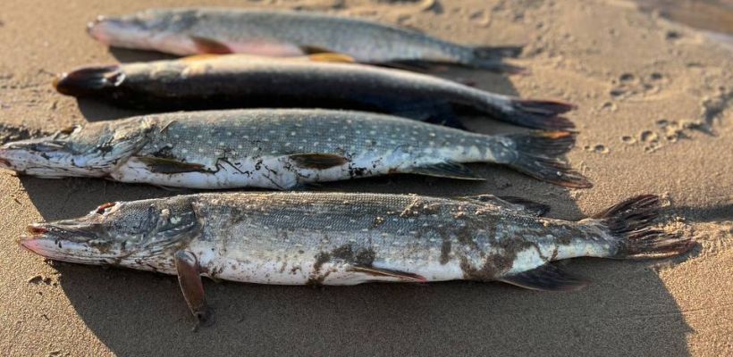 "Никакой рыбалки!": В Якутии главам запретили отпуск во время ледохода и пожаров