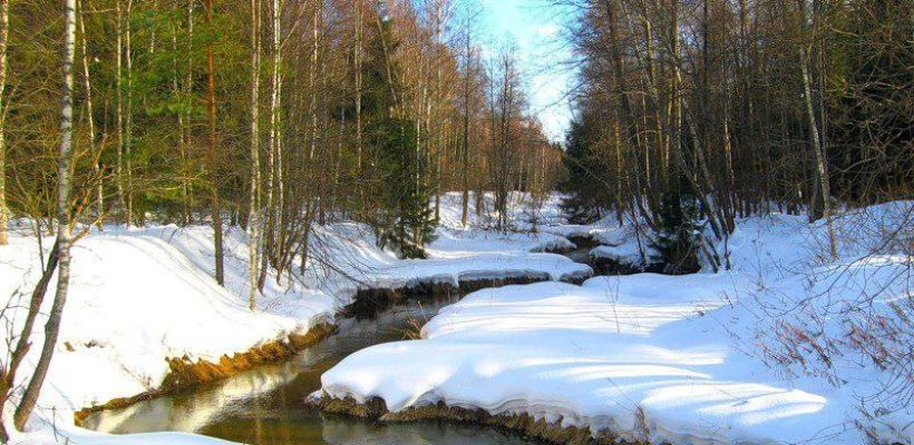 В Якутии продолжаются поиски мужчины, который отправился на поиски табуна и не вернулся