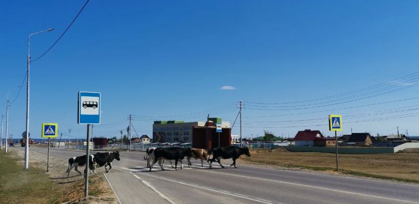 В Якутске участники СВО жалуются на волокиту с земельными участками
