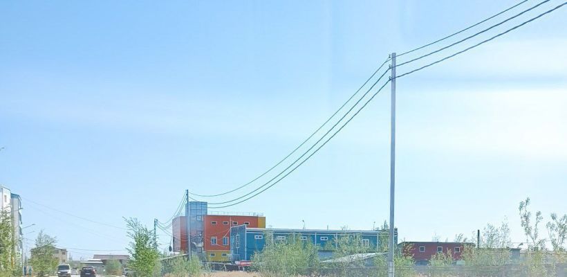 В Гагаринском округе Якутска объявили двухдневную акцию «Спаси дерево»