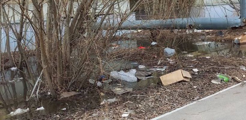 Мэр Якутска поручил ускорить работы по уборке столицы