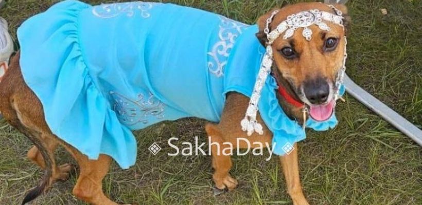 Насколько уместно брать с собой собаку на Ысыах?