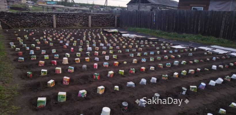 Предупреждение от Тускула: Берегите огород от инея