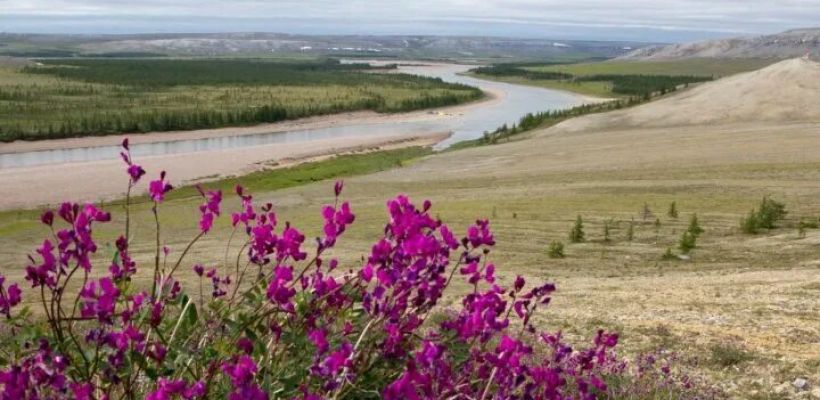 В Усть-Янском улусе произошло сильное землетрясение