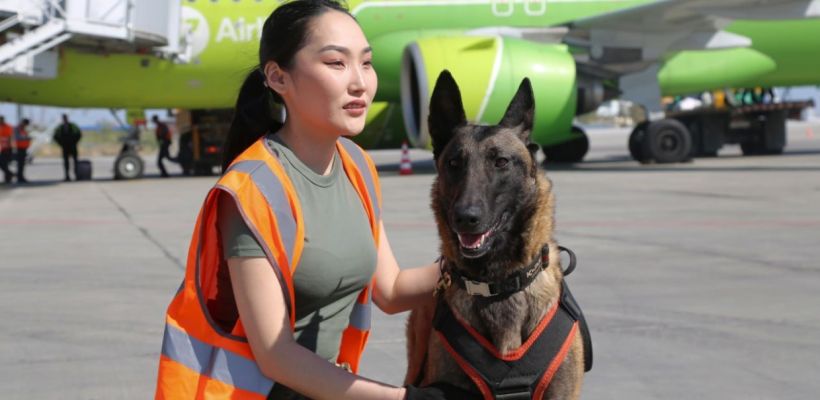 Кинолог: «С детства мечтала работать с животными»