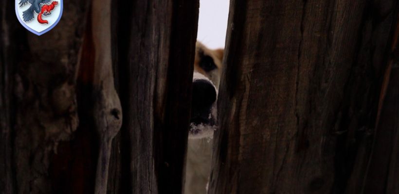 Вступил в силу закон, запрещающий установку сплошных заборов на дачных участках
