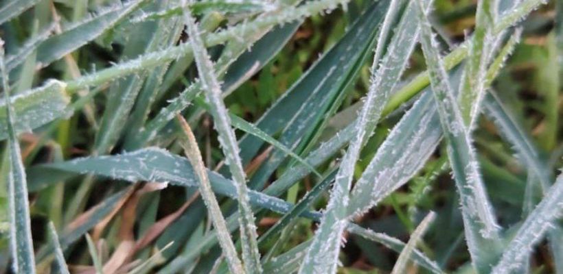 В Сунтарском улусе заморозки