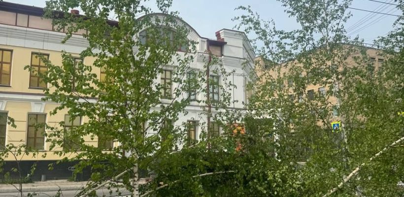 Фотофакт: Кто сломал многолетние березы в центре Якутска?