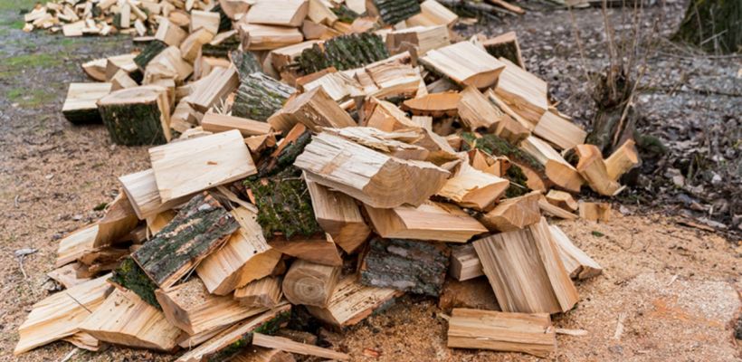 В Усть-Майском районе осудили мужчину за незаконную вырубку леса