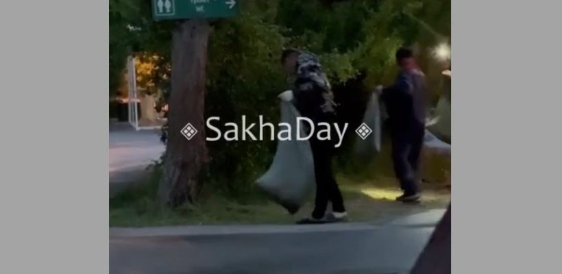 Озеленение в Якутске. Зачем в парке рассыпали траву?