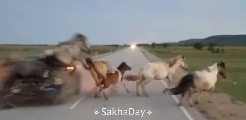 Автомобиль певца Джиды жестоко врезался в лошадей