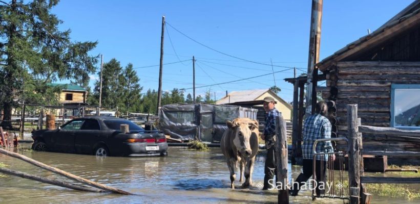 Жители Оймяконья: «Мы еще не сталкивались с таким бедствием!»