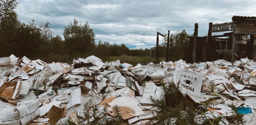 ЯКУТСКЭКОСЕТИ выявили схему незаконного вывоза отходов нелегальными перевозчиками