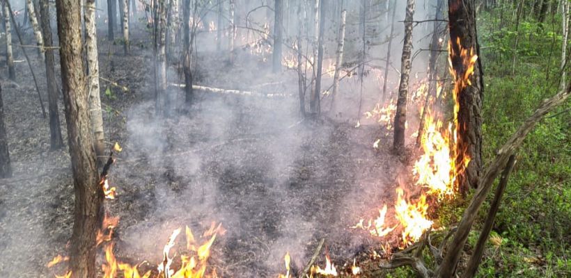 В Якутии действует 16 лесных пожаров