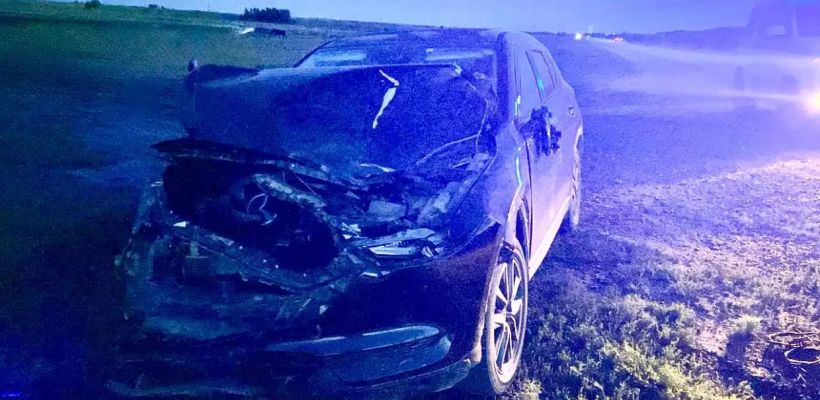 Автомобиль, сбивший лошадей 10 июля, принадлежит супруге Джиды