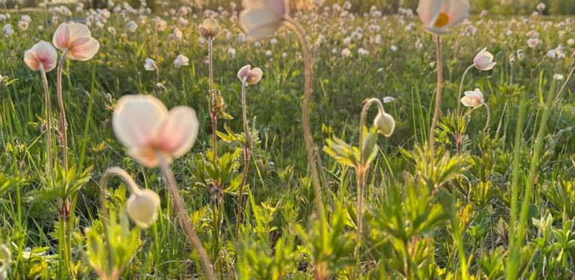 В Якутии - неустойчивая погода