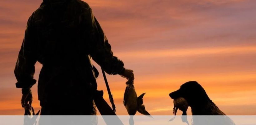 Стали известны ключевые корректировки сроков охоты