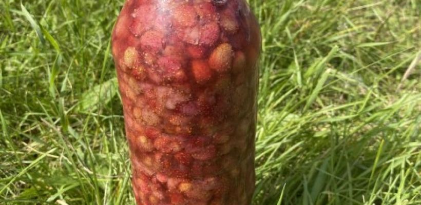 В Якутии один литр земляничного варенья стоит от 5 тысяч рублей