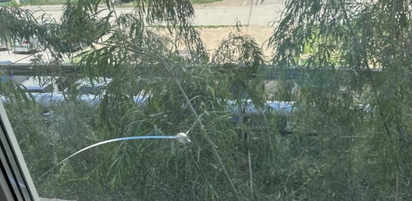 Мужчина, устроивший стрельбу во дворе в Якутске, задержан полицией