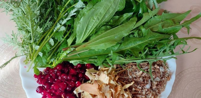 Необычный обед в жару: кости рыбы и уток, листья одуванчика и заболонь