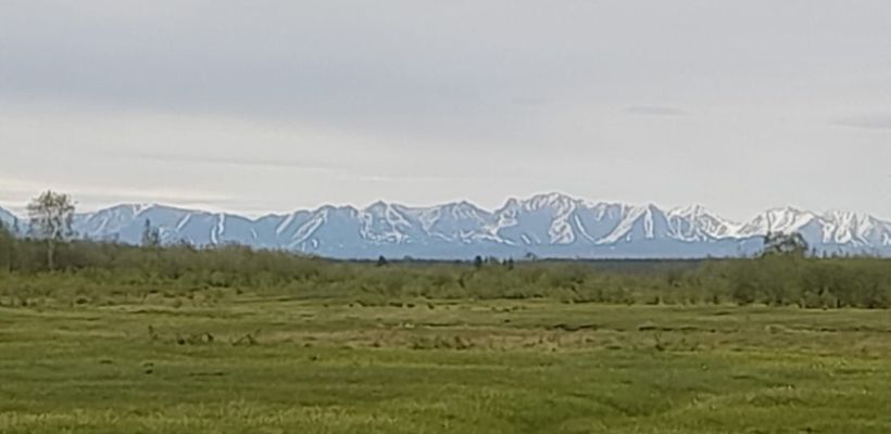 Заблудился, встретил медведя, потерял коня. Потерявшегося в Верхоянском районе мужчину нашли живым и невредимым