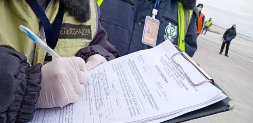 Что везут из Якутии? Рыбу, бивни, шкурки соболя