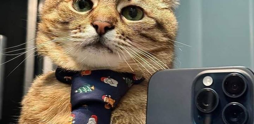 Якутяне стали чаще менять смартфоны по программе трейд-ин