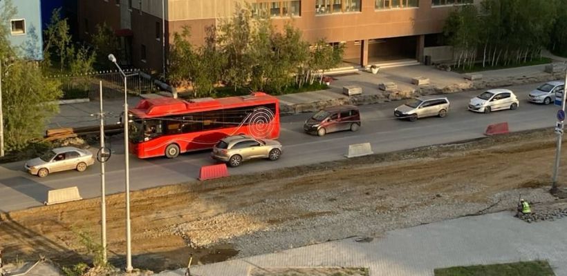 В Якутске на Ойунского срубили березы: зацветет ли улица акациями?