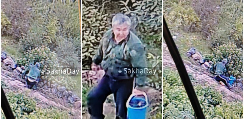 В Ботаническом саду Якутска дачник поживился ягодами элитной смородины