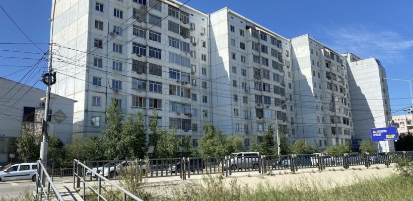 Фатальная ошибка: на Хабарова не должны были рубить березы