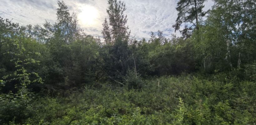 Мистика от якутских спасателей