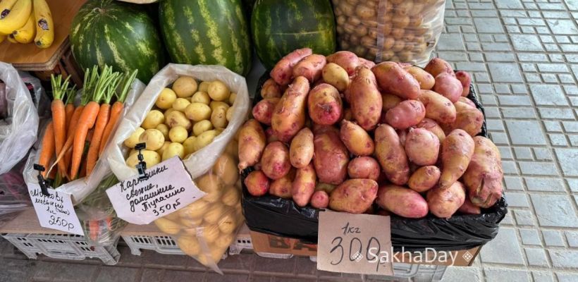 В Якутске картофель подешевел до 300 рублей