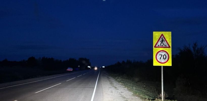 В Хангаласском районе УАЗ столкнулся с лошадьми: пострадал водитель, погибли животные