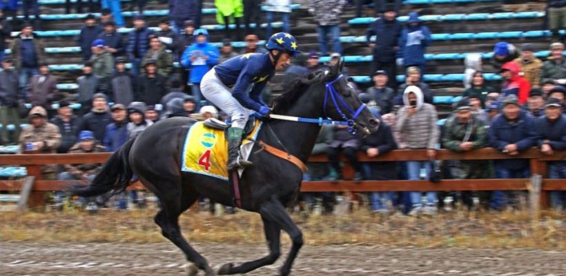 Подробности смерти легендарного жеребца Мейн Кониг