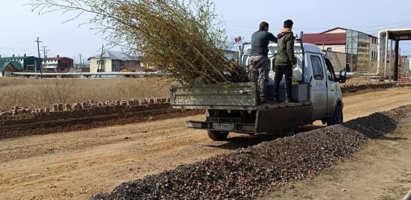 Надо внедрять компенсационную высадку. Мэр Якутска увидел такую практику в Татарстане