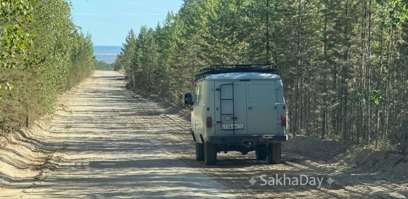 Близ Владимировки заметили медведя, Минэкологии проводит проверку