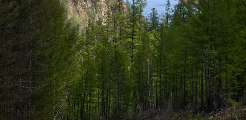 "Прождали 40 минут и развернулись!": Супруги шли пешком из Нерюнгри