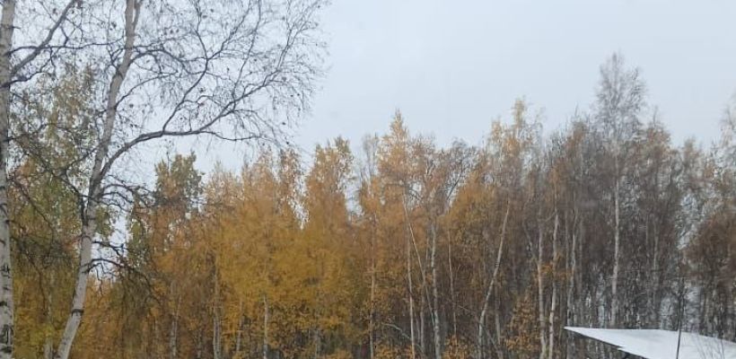 На севере Якутии без тепла остаются сотни жителей. Авксентьева направила запрос в Генпрокуратуру