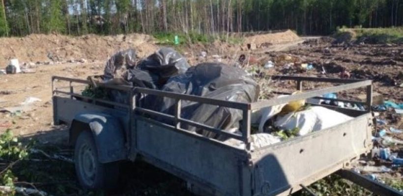 В Ленском районе мужчину искусала стая собак