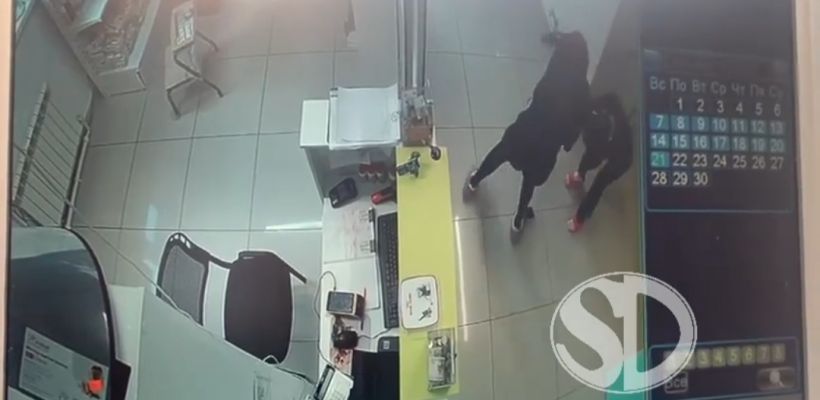 В Якутске подрались зоозащитница и сотрудница ветклиники